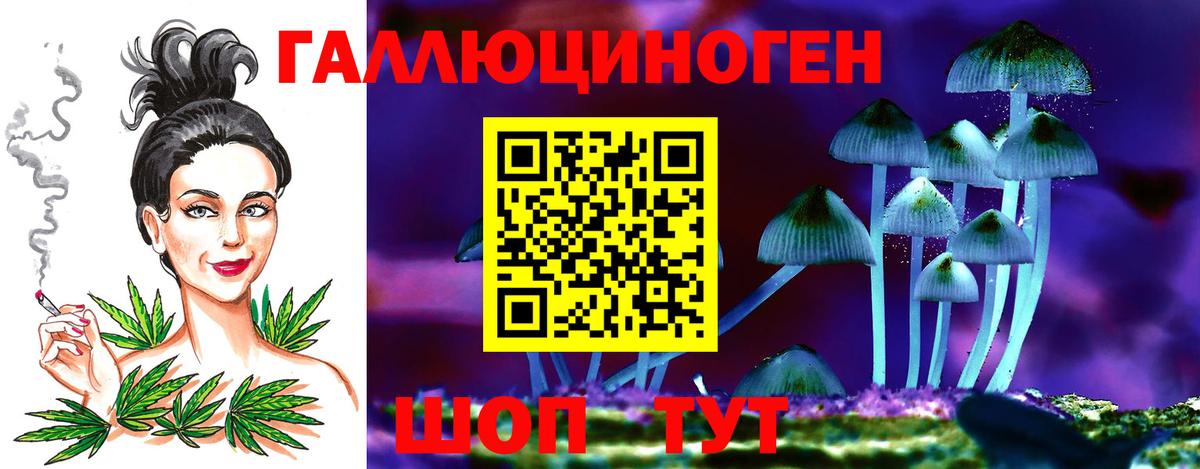 Псилоцибиновые грибы GOLDEN TEACHER Алексеевка