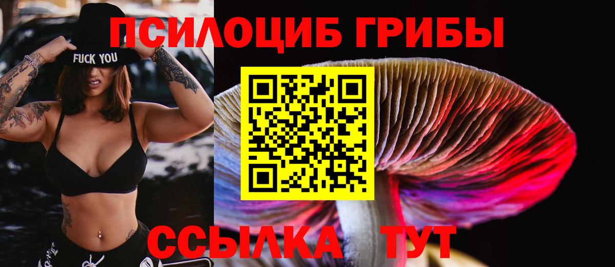 Псилоцибиновые грибы Magic Shrooms  закладки  Алексеевка  Псилоцибиновые грибы MAGIC MUSHROOMS  Вход с VPN 